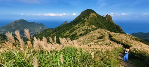 #半屏山 #芒花 11/262946030