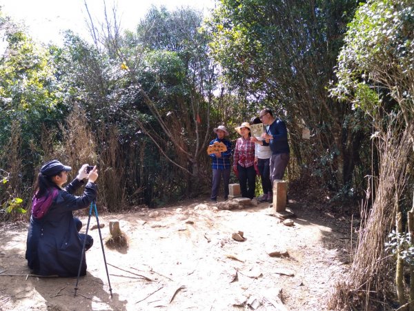 雙鳥縱走+那結山1312846