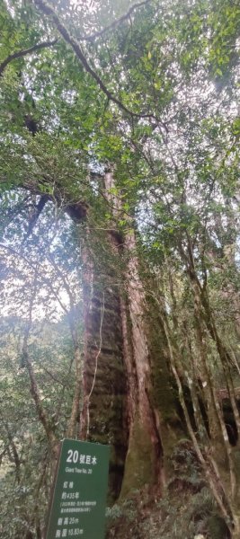 拉拉山國家森林遊樂區2752259