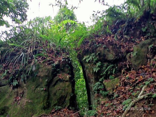 四訪苗栗的花果山-小百岳#037馬那邦山、雪霸國家公園管理處【小百岳集起來、苗栗-臺灣百大必訪步道】2394370