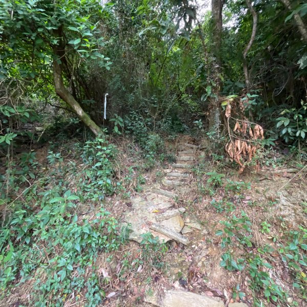 20251130_棚集山+斜坡上藝術節（屏東小百岳）2968592