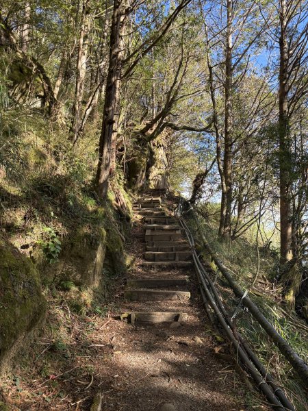 20251225塔山步道(大塔山)2970348