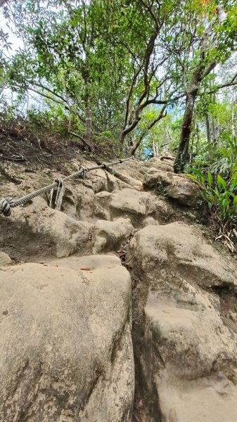 叮叮叮：一個人的微笑山線😊2917437