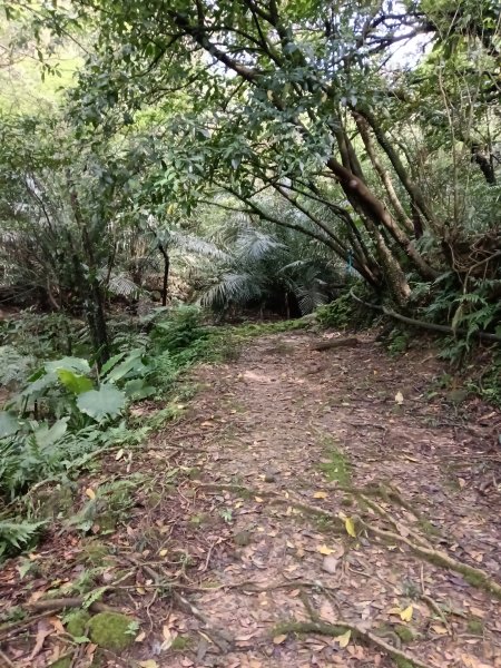 雙溪區三叉港+遠景古道+楊廷理古道+雞母嶺街O型2758632