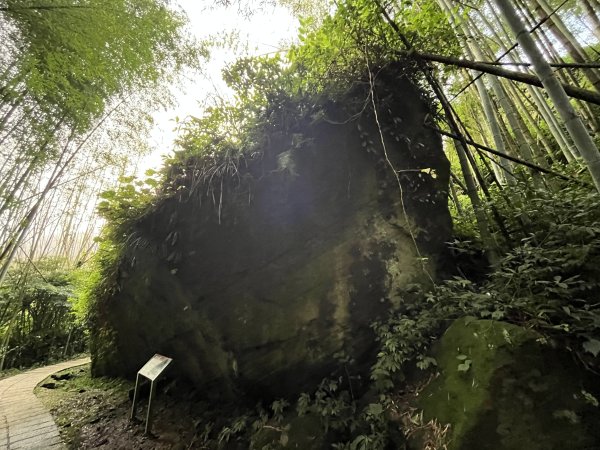 [嘉遊好步道．來嘉走走-04/10] 2024_1011 阿里山頂湖步道2624696