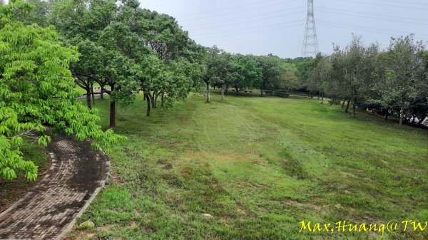 《台中》雙園連走｜東大公園連走都會公園202310072305965