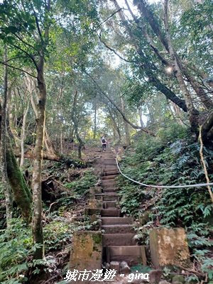 【新竹竹東】五指山登山步道3004826