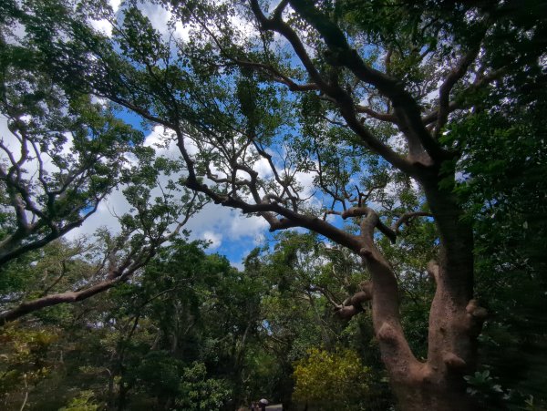 2024.06.09－墾丁國家公園2523838