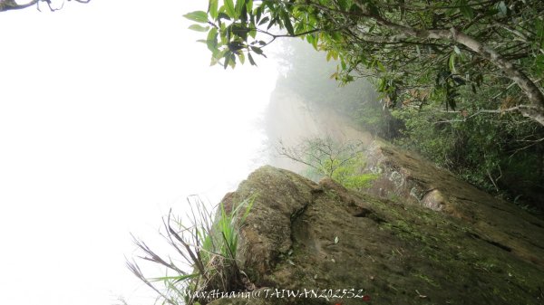 《雲林》望好望角｜石壁山嘉南雲峰步道(中側登山口）202506072805513