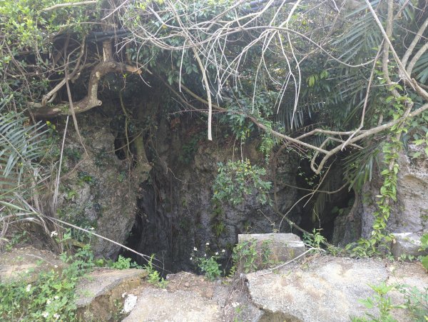 2025.03.24－大崗山2746341