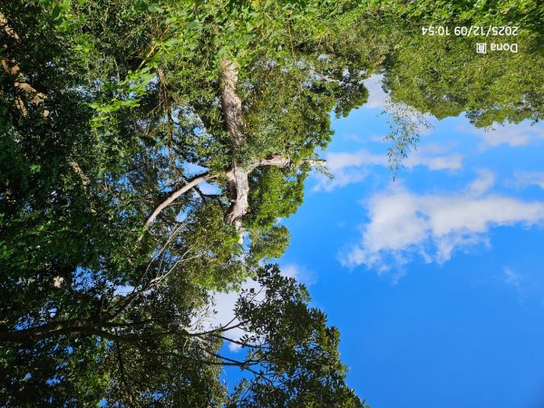 20251209新竹寶二水庫環湖O走+峨嵋湖2969274