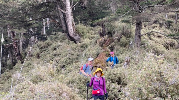 楠梓仙溪上南玉山1373065