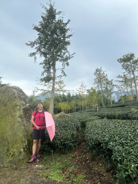 溪頭山、竹崙山、志騰山、妖怪村2877890