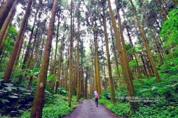 【路線】阿里山步道