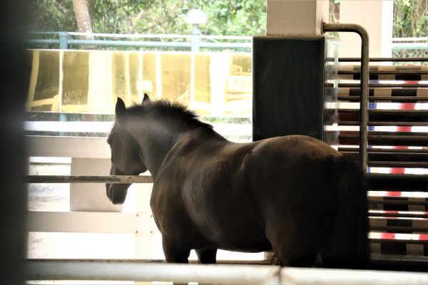 HK - 西高山1020872