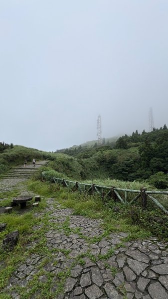夢幻七星3074409