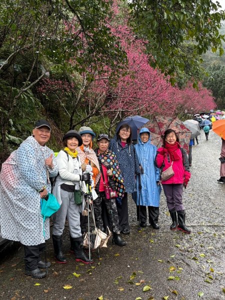 台北國軍英雄館→宜蘭縣員山鄉燈篙林道→礁溪郷潭酵天地觀光工廠→冬山鄉田老爺餐廳2711982