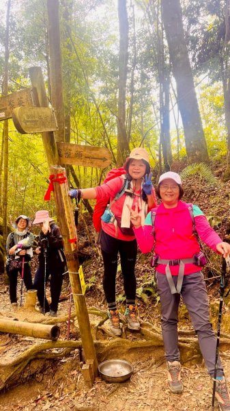 🌈1/18（日）忘憂森林×金柑樹山×溪頭天文台✨FB：熊熊趴爬走🌈2983969