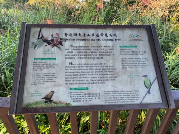 大凍山（小百岳）1117297