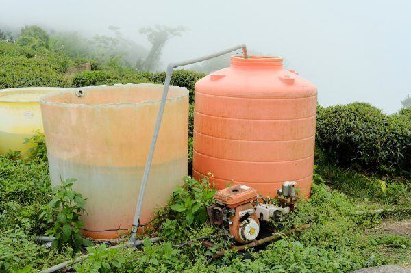 【雲林-嘉義】挑筍古道，車心崙步道897758