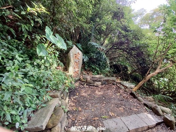 【新北八里】搭捷運公車爬山趣。 小百岳集起來。編號05小百岳-八里觀音山(硬漢嶺步道)1759645