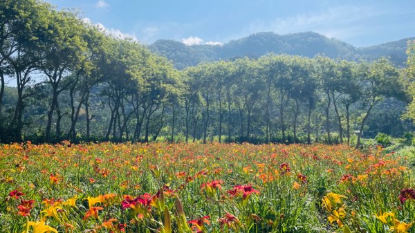 頭社活盆地2691007