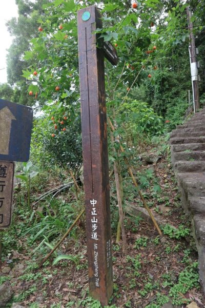 〔北投〕中正山，大屯山系 必訪步道2274997