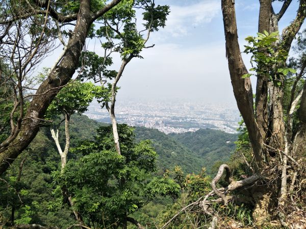 2018 04 18 咬人狗坑登山步道(三汀山)314177