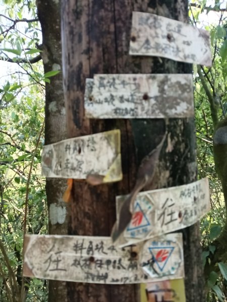 崩山坑古道+東柑腳山+後寮仔嶺+後寮子古道+後寮仔保甲路O型2750945