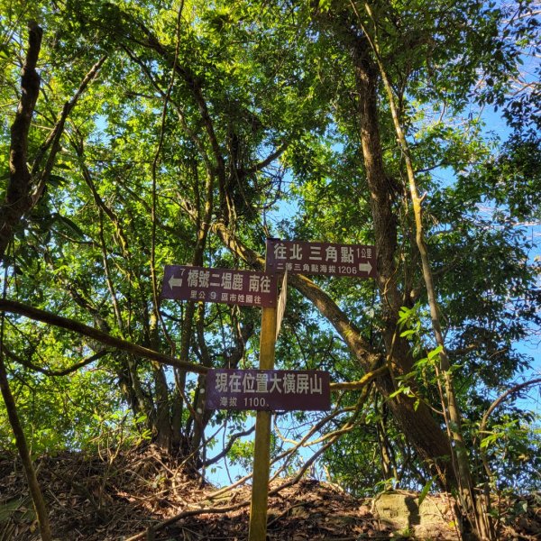 大橫屏山（小百岳）1545010