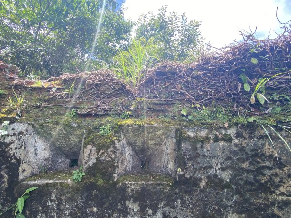 2025.6.28 煤源上李崠山經八五山 O型2824323