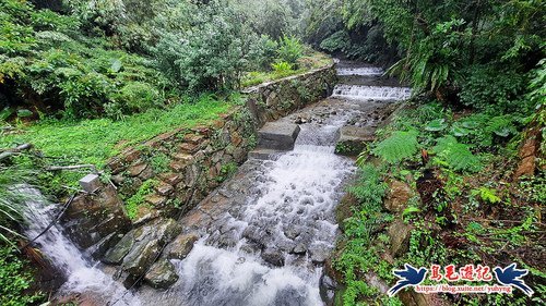 【台北市】草湳歧山古道