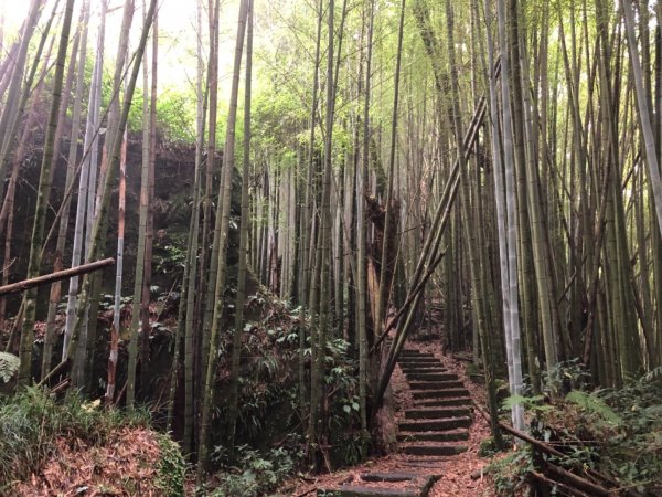 頂湖步道再訪芙蓉山、大凍山、霹靂山637301