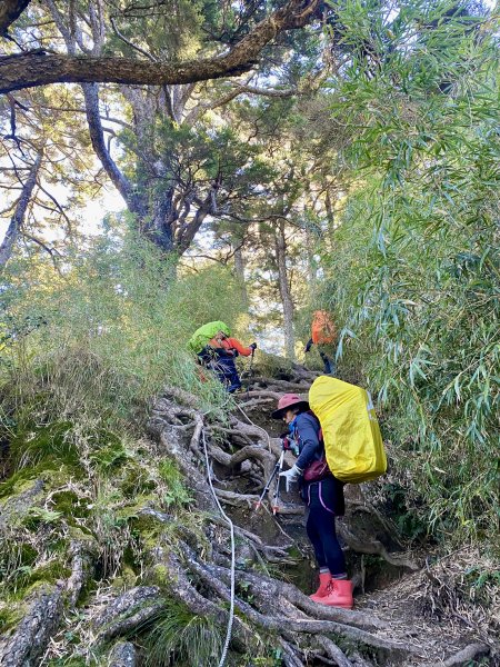 奇萊東稜翻山越嶺的淚與笑D1 2022/9/29—合歡山遊客中心至月形池1869527