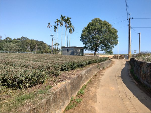 松柏坑山(小百岳#51) 二水車站、登廟步道、松柏嶺受天宮、坑內坑步道 (2021/1/15)1423760