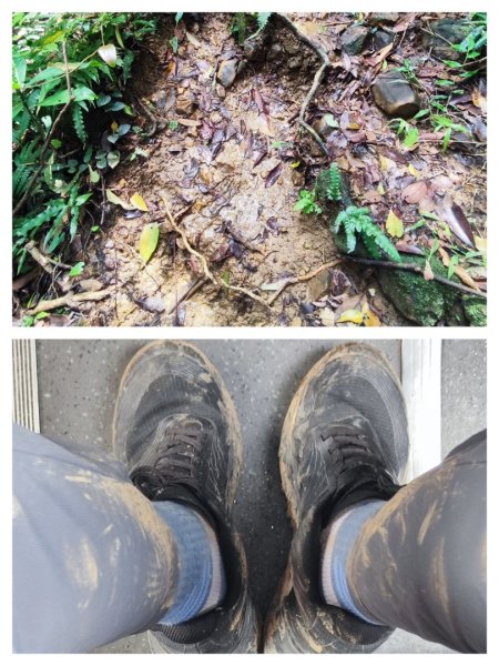 基隆車站-樂利山-基隆燈塔白米甕砲台球子山燈塔仙洞巖3033302