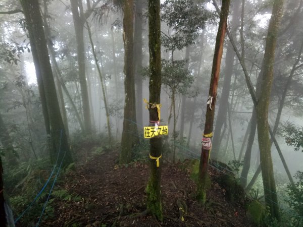 溪頭鳳凰山南鳳凰山天文台O型走+集集大山1886864