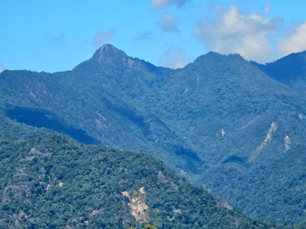 白毛山-谷關七雄(老六)3015230