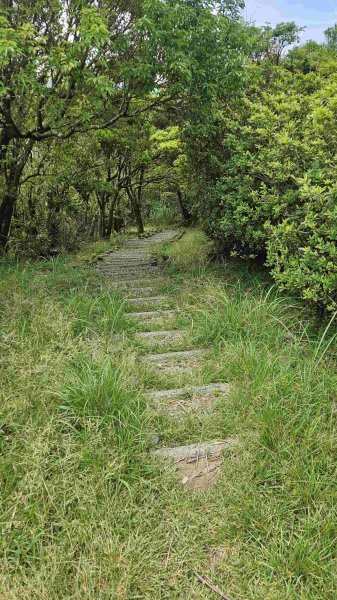 20250516九芎坑山-司公髻尾山-鑽石峰-人頭面山-南勢坑大尖-小尖山主前峰2787663
