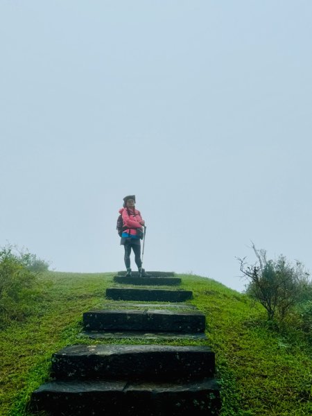 灣坑頭山(小百岳#82)2884251
