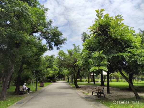 大安森林公園、港墘公園、大港墘公園【走路趣尋寶】【臺北健走趣】2582383