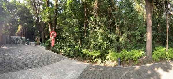 20250128高雄漯底山-北峰-西北峰2705211