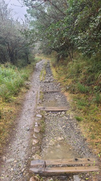 2025-0222 翠峰湖環山步道2718632