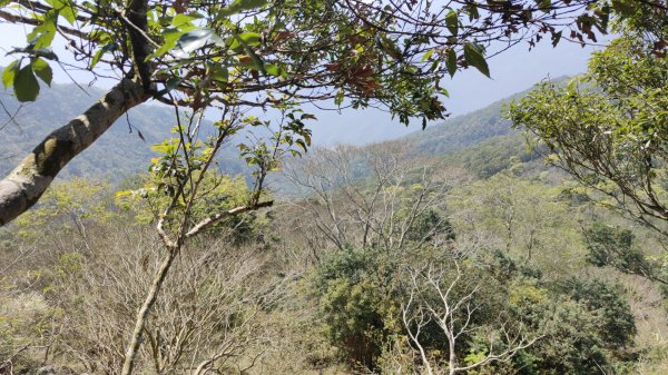 田良井山六連峰(屏東三地門) 探勘初體驗2025年3月9日2731538