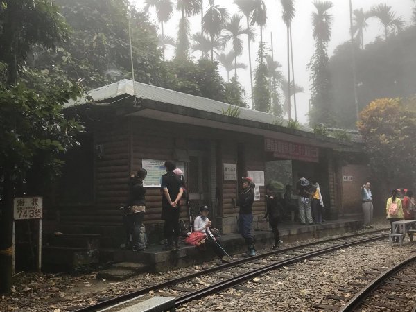 初訪獨立山步道742186