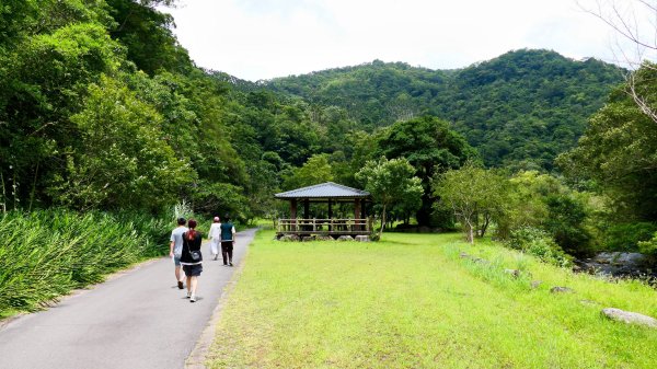 九寮溪自然步道2826870