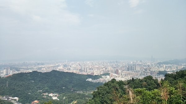 2018 11 16烘爐地登山步道(南勢角山)460874