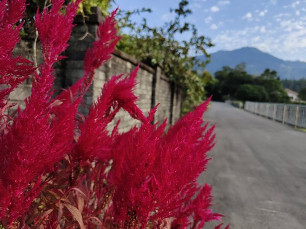 2024.01.07 橫山三叉埤、墩子銃古道2843807