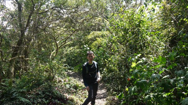 觀音山登山健行趣(小百岳05號)1632396