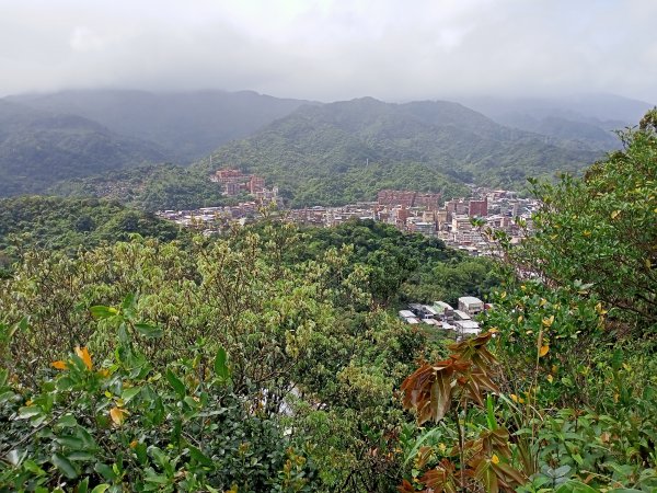 【瑞芳四秀】白象山(又名弘明山)→秀崎山→瑞芳山→龍潭山1651436